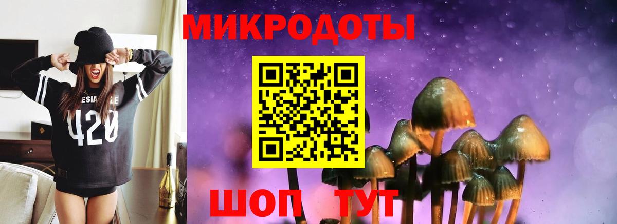Галлюциногенные грибы Psilocybe Орехово-Зуево